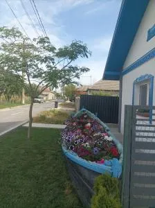 Studio Casa Katiușa - 6 Martie