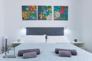 Butterfly Pool View & WiFi by iRent Fuerteventura Corralejo