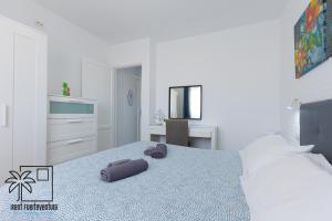 Butterfly Pool View & WiFi by iRent Fuerteventura Corralejo