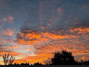 Habitación en el centro de bienestar TFM