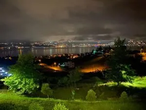 Retro Modern Villa Rose -Unique Sapanca Lake View - Serdivan