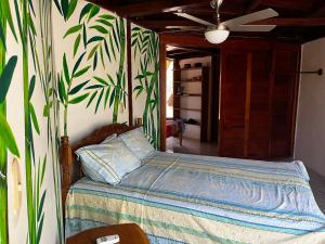 Jungle Farm, Digital Detox Cottage in Nicaragua