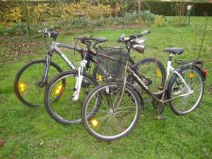 Gîte LA BRUGUE avec piscine à 5 mn dALBI