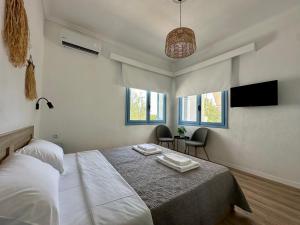 Assamaris Beachfront House