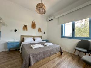 Assamaris Beachfront House