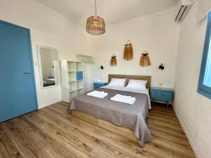 Assamaris Beachfront House