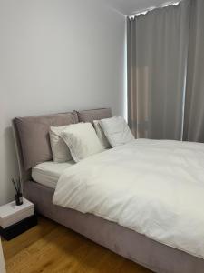 Herăstrău Park apartment