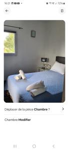 Appartements Rez de villa avec jardin : photos des chambres