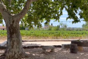 Une Nuit au Cœur dun Vignoble Provençal Piscine