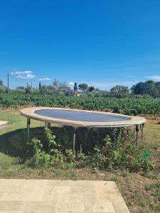 Appartements Une Nuit au Coeur d-un Vignoble Provencal Piscine : photos des chambres