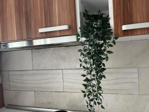 Mall Bucuresti Vitan Studio