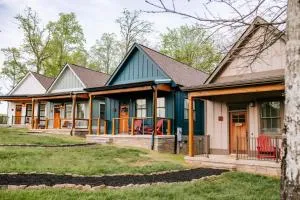 Azalea & Blackberry Cabins - 蒙蒂格尔