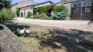 Maisons d'hotes Mas du Grand Peloux : photos des chambres