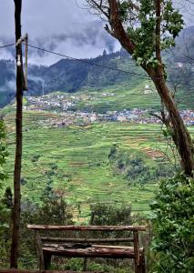 Wrongturnclub hilltop adventure stay