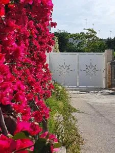 B&B La Rosa dei Venti - Lu Prema