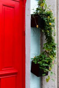 Espectacular Casa en el Corazon de la Roma con Jacuzzi