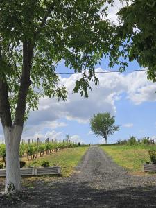 Kuća za odmor Kustura