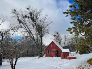 Blue Oak Red Cabin - Hoffman Point