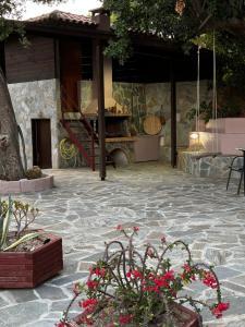 Elis superb villa