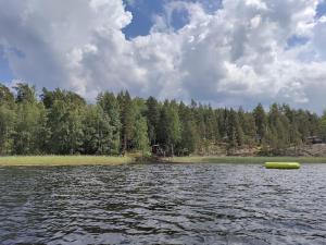 Viihtyisä mökki järven rannalla