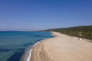 Li junchi Mare e Natura img33
