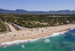 Li junchi Mare e Natura img32