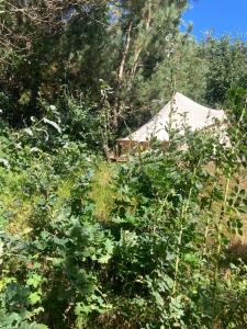 Bell tent Boven Duin