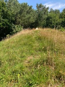 Bell tent Boven Duin