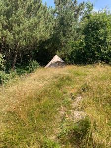 Bell tent Boven Duin