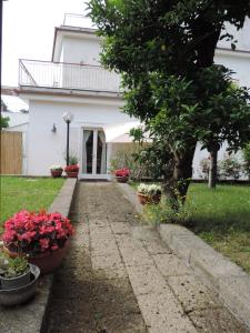 Baia della Serenità