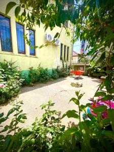 Galery house Casa Gioia