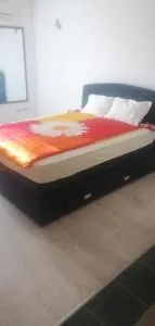 Michel - 巴奇卡帕兰卡