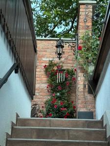 Studio apartman & Wine House ONDINE