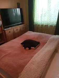 Patro u Madly - Chotěšov