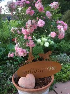 Ferienwohnung Helena - 洛尔施