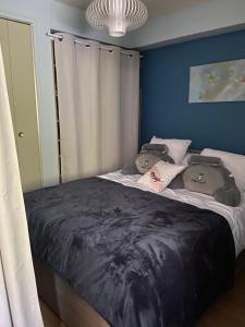 Appartements Le Coquelicot de Luchon : photos des chambres