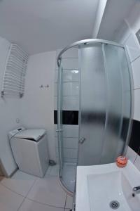 Pokój jednoosobowy do wynajęcia w mieszkaniu