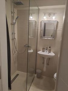 Apartment Cvita 