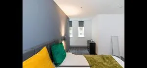 Alexander House Apartment 15 - 克莱克西顿