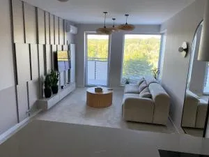 DeLuxe Apartments Piłsudskiego - 新松奇