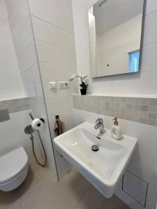 Garden appt - 40m2 terrace, garrage parking