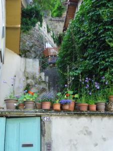Le Liseron Bleu photo 6