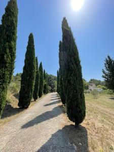 B&B / Chambres d'hotes Cypres du chateau : photos des chambres