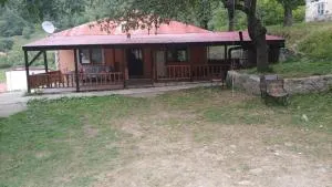 İnci Dağ Evi - Мачка