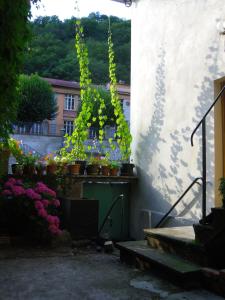 Le Liseron Bleu photo 15