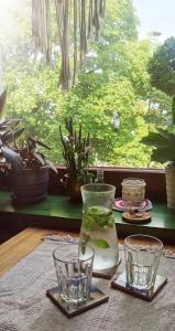 Green Apartament Żoliborz