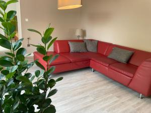 geräumige Wohnung mit Terrasse
