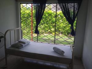 Casa de huespedes Pïpo