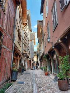 Appartements Le Jardin Des Delices charming house in Troyes : photos des chambres
