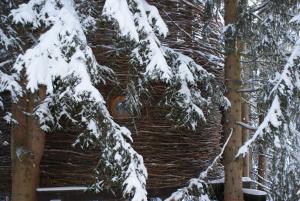 Lodges Cabane entre terre et ciel : photos des chambres